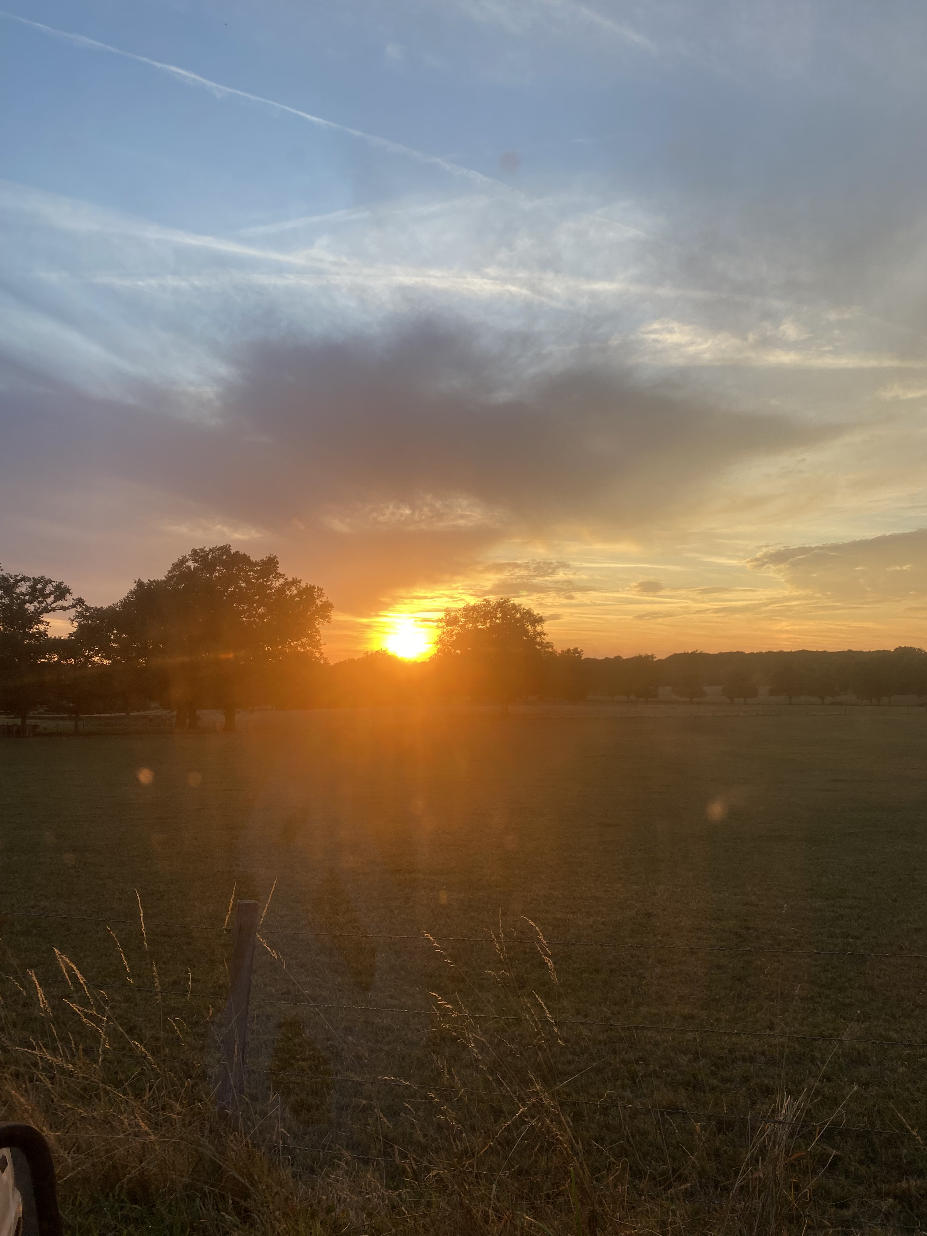 Coucher de soleil sur les prés limousins
