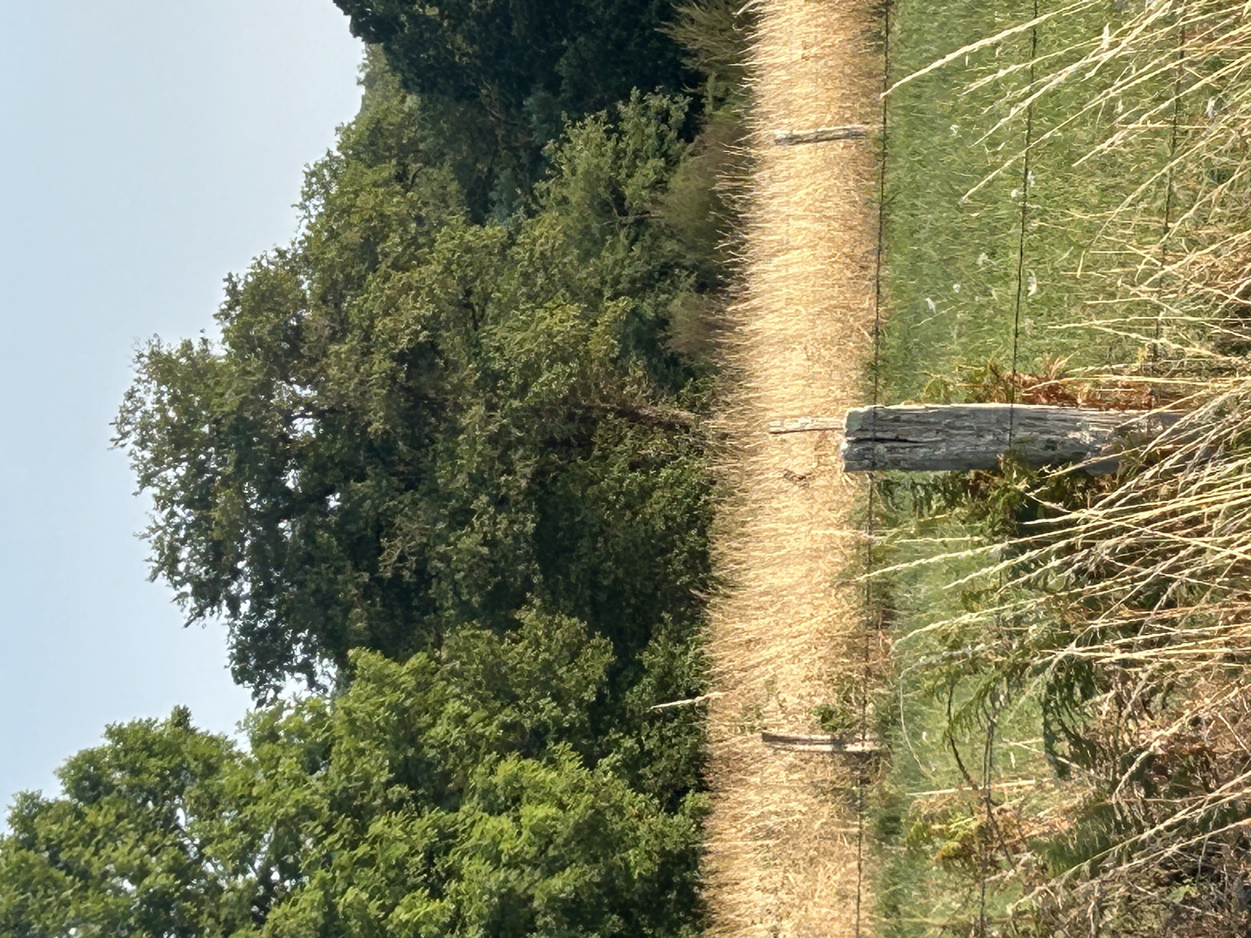 Pause au bord de la route pendant le périple à vélo